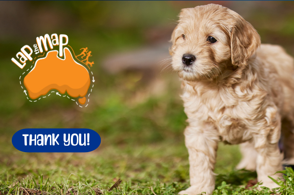 Thank You for an Incredible Lap the Map 2025!