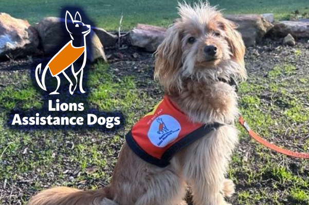 Placement of a Hearing Assistance Dog to Carole of Upper Coomera