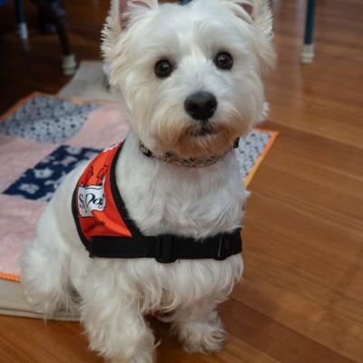 Lions Convention 2025 Stanthorpe 004