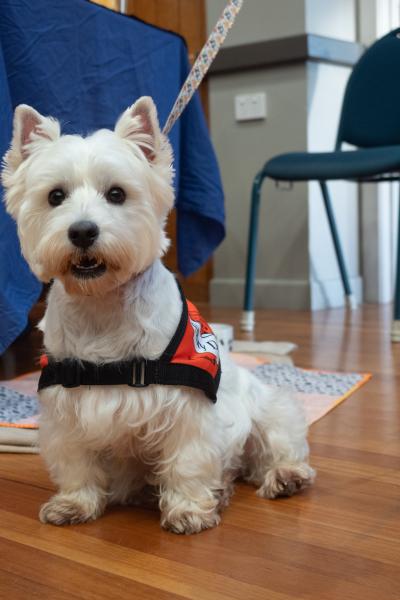 Lions Convention 2025 Stanthorpe 006